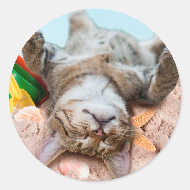 Pegatina Redonda Gato en la playa y cielo azul (Anverso)