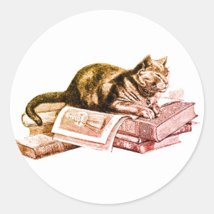 Pegatina Redonda Gato En Una Pila De Libros