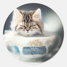 Gato en una taza de té | Gatito en una taza de té