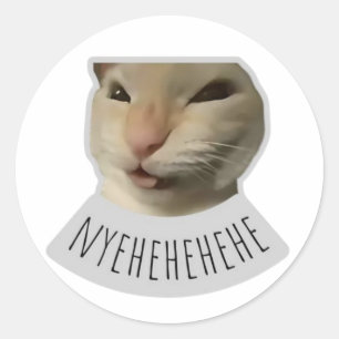 Pegatina Redonda gato gracioso meme