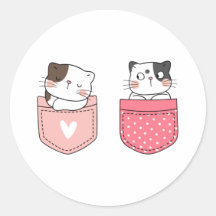 Gato Kitty