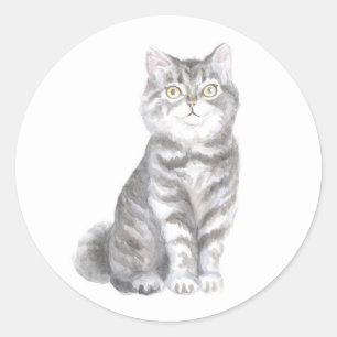 Pegatina Redonda Gato Lindo Gata Gris Plateado Tabby Gatito Amante