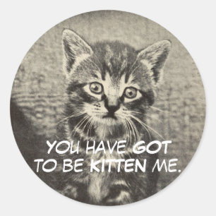 Pegatina Redonda Gato lindo / Gatito "Tienes que ser KITTEN Mí".