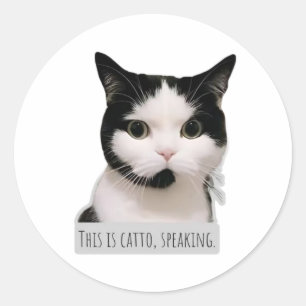 Pegatina Redonda gato memé