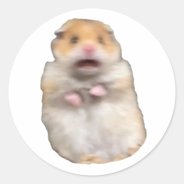 Pegatina Redonda gato meme divertido (Anverso)