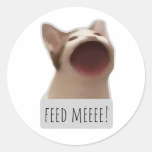 Pegatina Redonda gato meme divertido