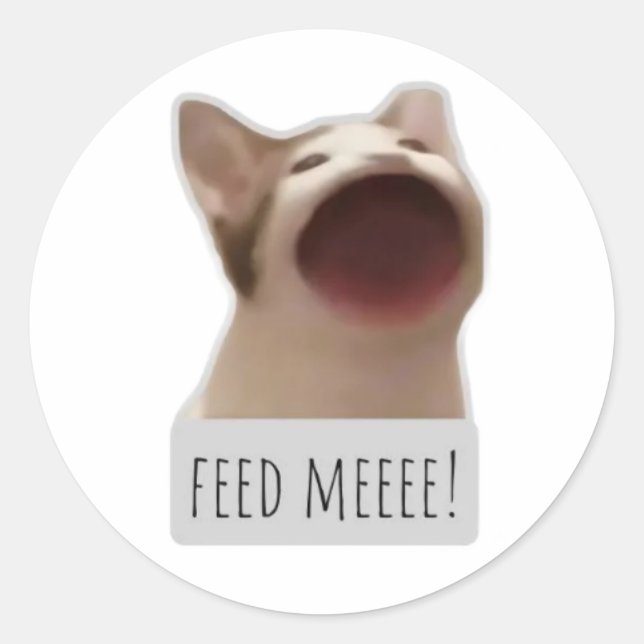 Pegatina Redonda gato meme divertido (Anverso)