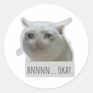 Pegatina Redonda gato meme divertido