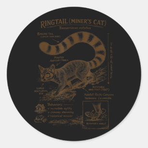 Pegatina Redonda Gato Minero de Cola Anillada Anatomía Fauna Silves