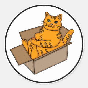 Pegatina Redonda Gato naranja en una caja graciosa