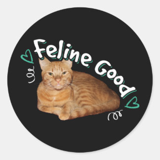 Pegatina Redonda Gato naranja - Pun bueno felino