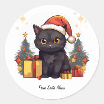 Gato negro de Navidades curados