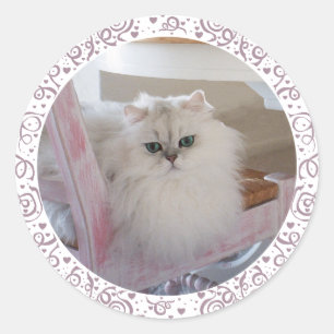 Pegatina Redonda Gato persa blanco en una silla rosa