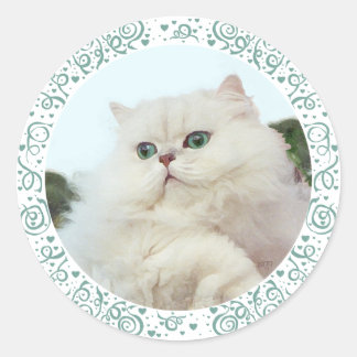 Pegatina Redonda Gato Persa con Ojos de Jade