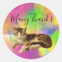 Pegatina Redonda Gato Retro Adorable Gatito Muchas Gracias Arcoíris