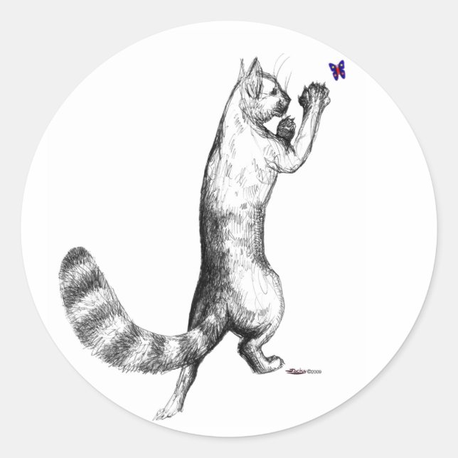 Pegatina Redonda Gato Springs (Anverso)