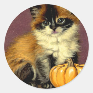 Pegatina Redonda Gato Vintage Ragdoll Halloween