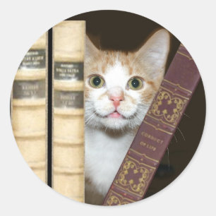 Pegatina Redonda Gato y libros