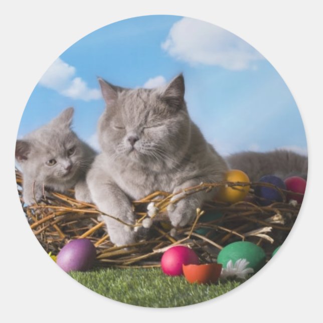 Pegatina Redonda Gatos de Pascua (Anverso)