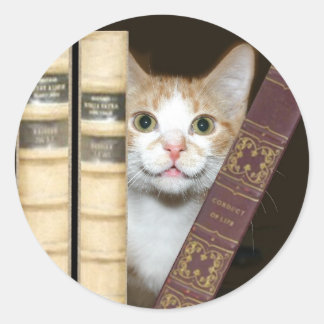 Pegatina Redonda Gatos y libros