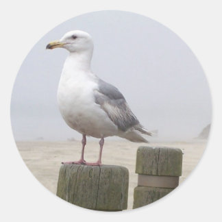 Pegatina Redonda Gaviota