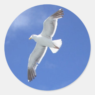 Pegatina Redonda Gaviota