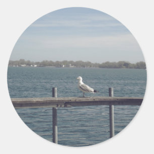 Pegatina Redonda Gaviota Junto Al Lago