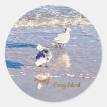 Gaviotas de Coney Island