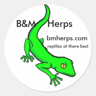 Pegatina Redonda gecko, B&M Herps, bmherps.com, reptiles en t...