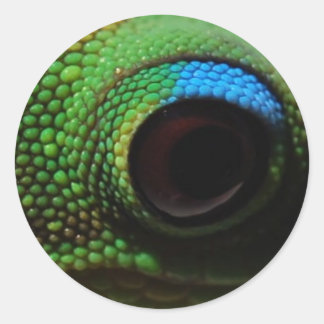 Pegatina Redonda Gecko Eyeball