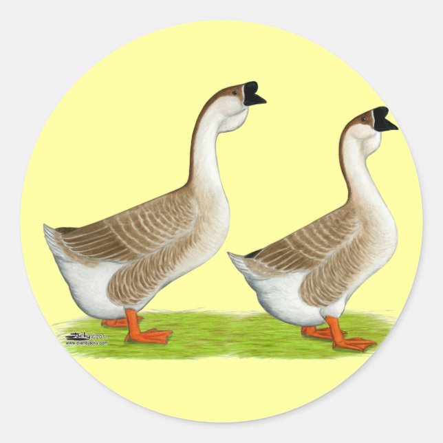 Pegatina Redonda Geese: Buff African (Anverso)