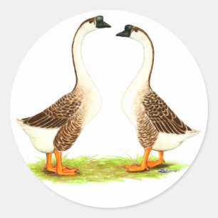 Pegatina Redonda Geese: Chino pardo