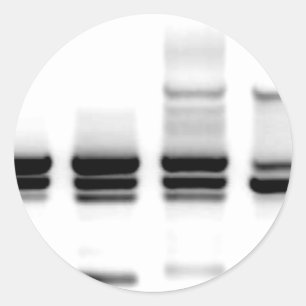 Pegatina Redonda Gel de ADN
