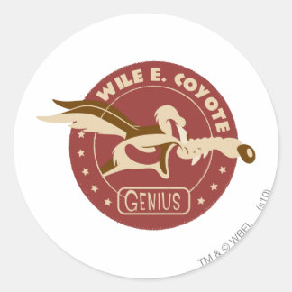 PEGATINA REDONDA GENIO DE WILE E. COYOTE™