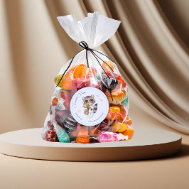 Pegatina Redonda Gentle Raccoon Animal Boy Baby Shower