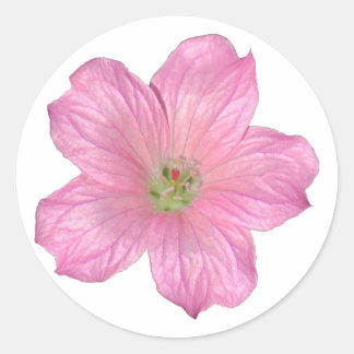 Pegatina Redonda Geranio rosa