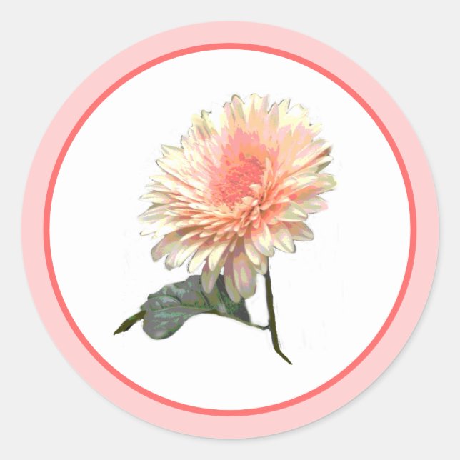 Pegatina Redonda Gerbera Splinder Design (Anverso)