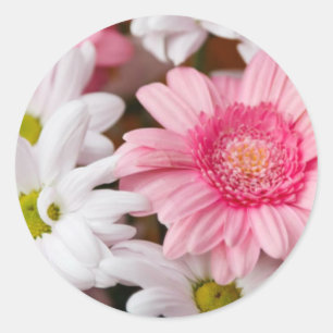 Pegatina Redonda Gerberas Y Crisantemo