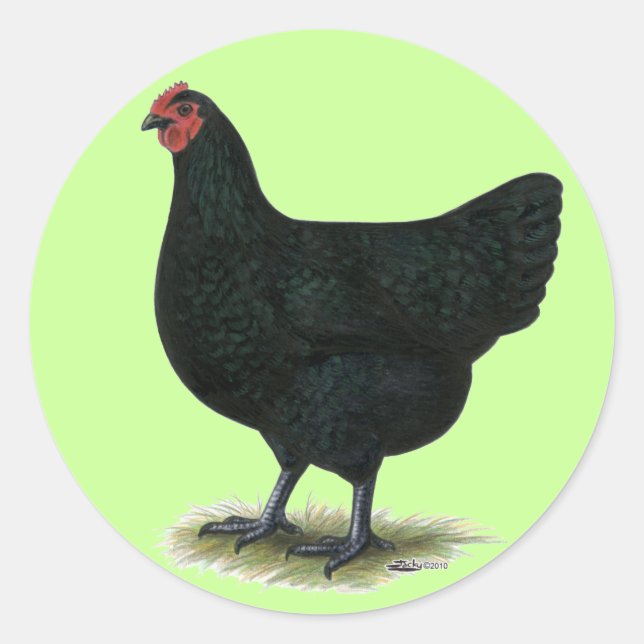 Pegatina Redonda Gigante de Jersey: Black Hen (Anverso)