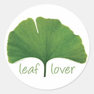 Pegatina Redonda Gingko Leaf