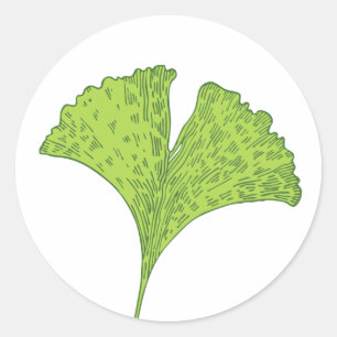 Pegatina Redonda Gingko Leaf