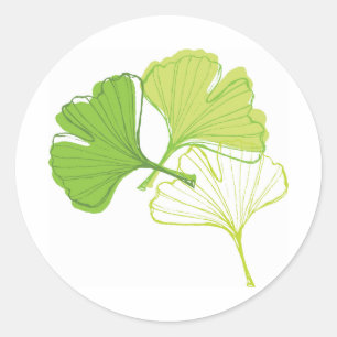 Pegatina Redonda Ginkgo Leaf