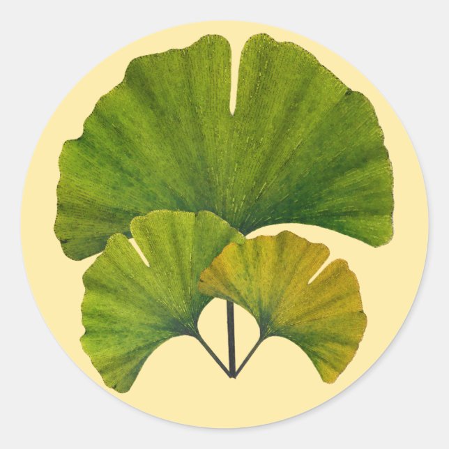 Pegatina Redonda Ginkgo Leaves (Anverso)