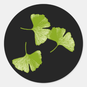 Pegatina Redonda Ginkgo Leaves