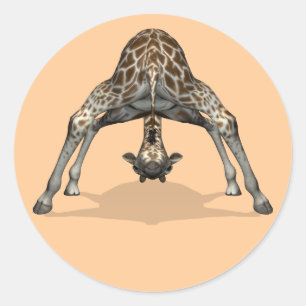 Pegatina Redonda Girafa flexible