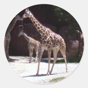 Pegatina Redonda Girafas