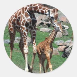Pegatina Redonda Giraffe