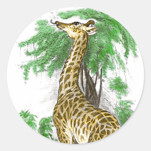 Pegatina Redonda Giraffe Gifts (Anverso)