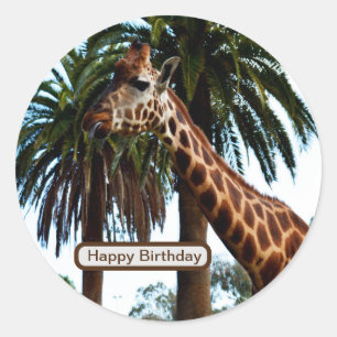 Pegatina Redonda Giraffe Graciosa Dando Una Frambuesa,