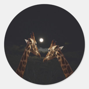 Pegatina Redonda Giraffe Love In The Moonlight,